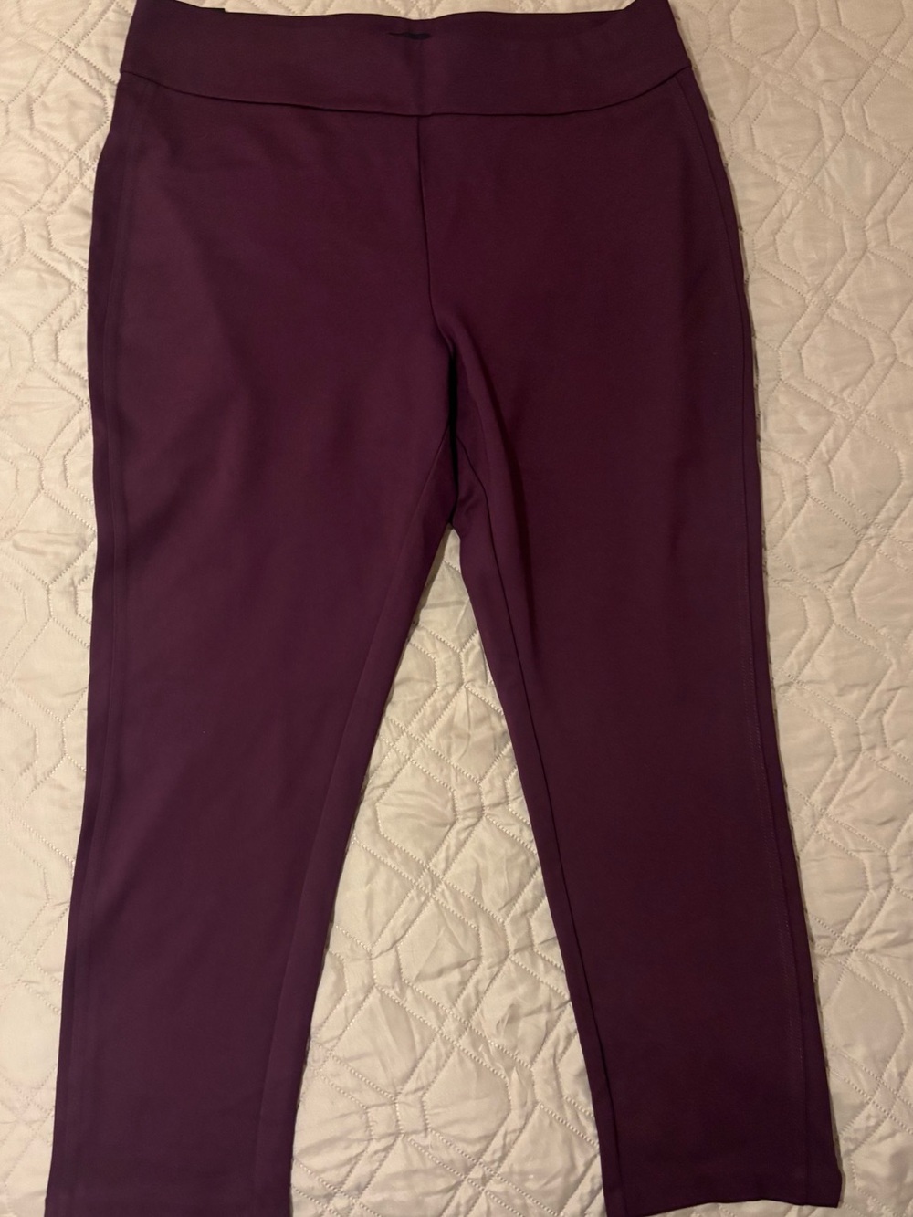 Express Ponte pants